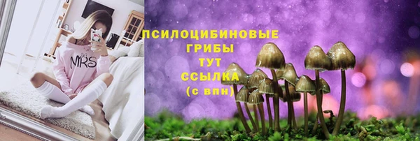 МДПВ Беломорск