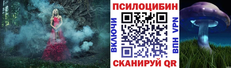 наркотики Облучье Галлюциногенные грибы Cubensis